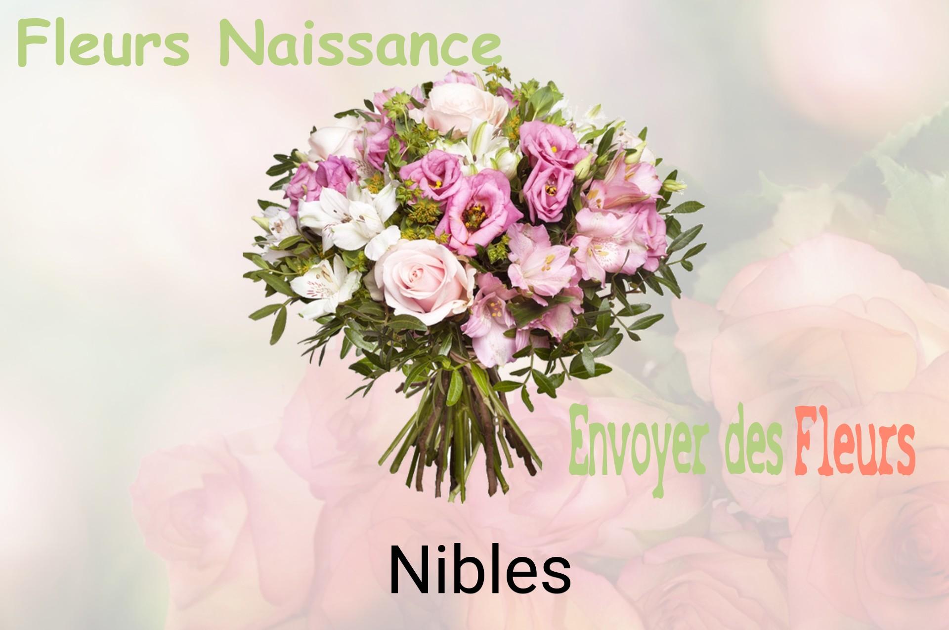 Bouquet de fleurs de naissance livré à Nibles