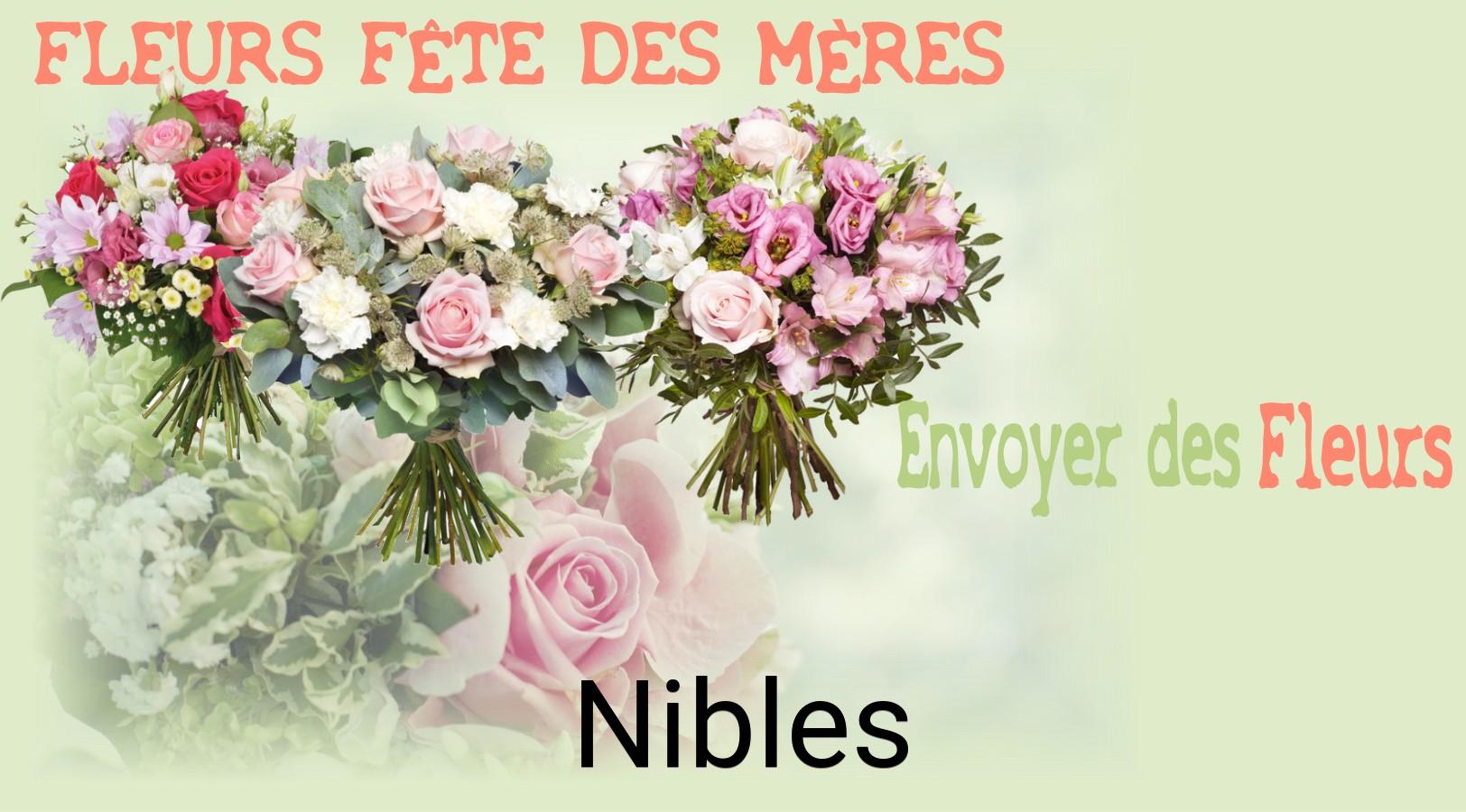Bouquet de Fête des Mères livré à Nibles
